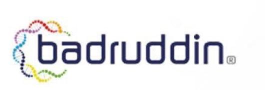 مجمع بدر الدين الطبي (حي الربوة)